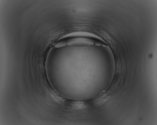 X0000091730377200708241419
