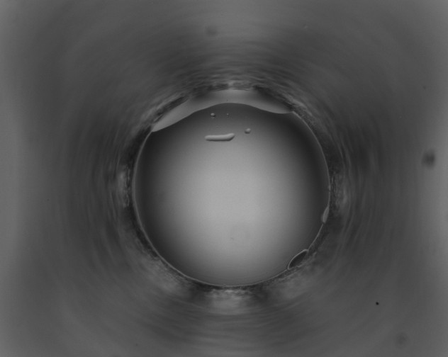 X0000091730378200708241419