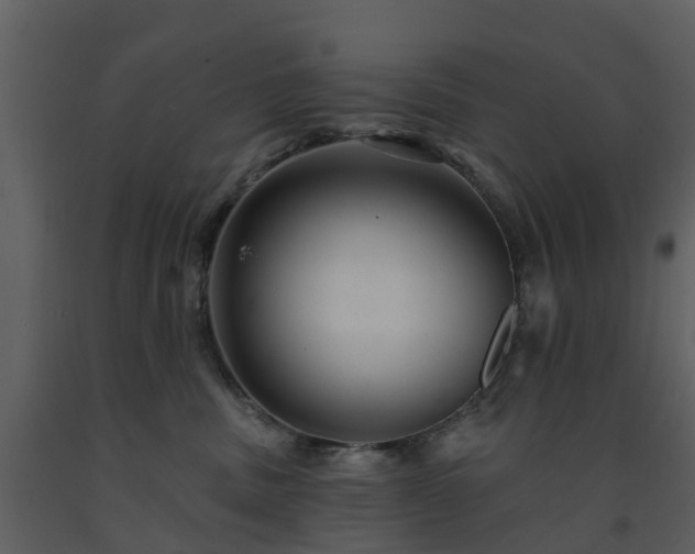 X0000091730379200708241419