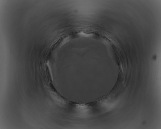 X0000091730380200708241419