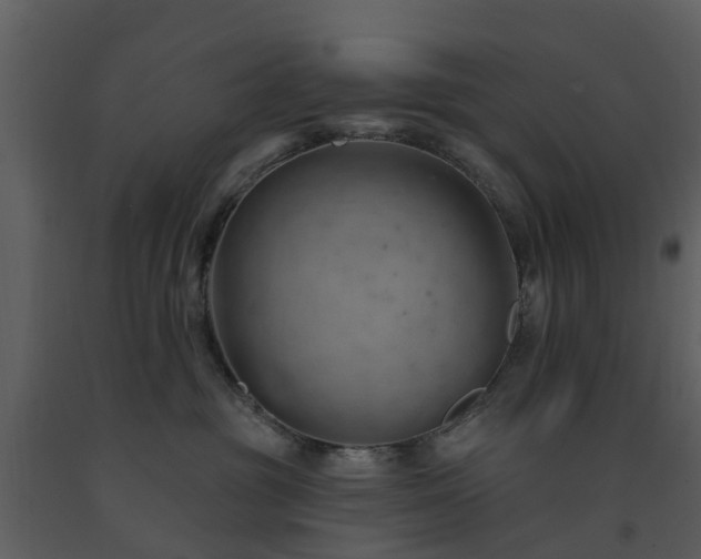 X0000091730381200708241419