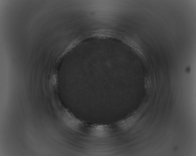 X0000091730382200708241419