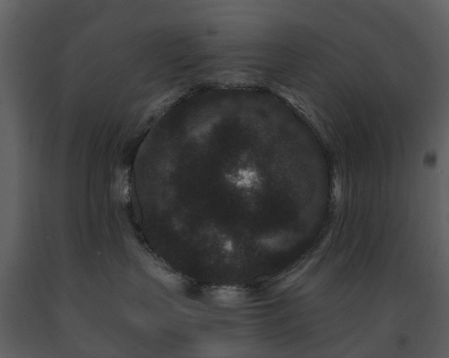 X0000091730383200708241419