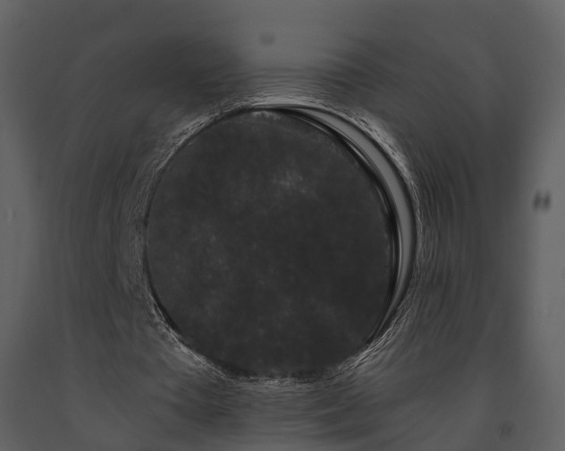 X0000091730385200708241418