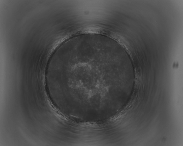 X0000091730386200708241418