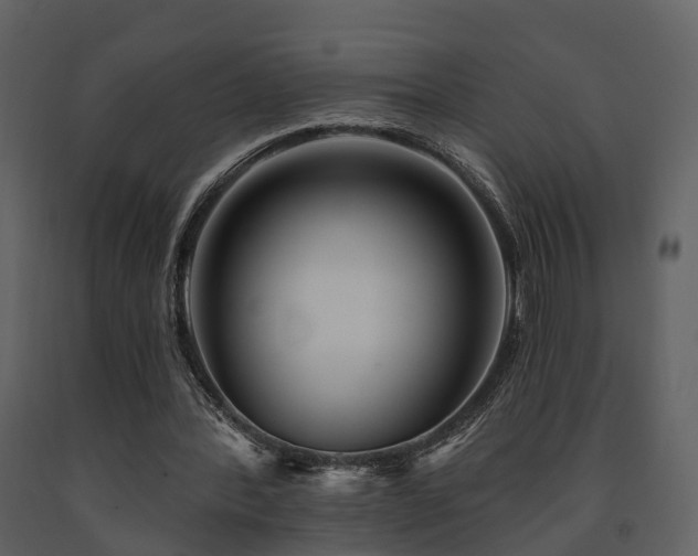 X0000091730388200708241418