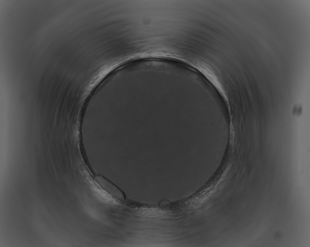 X0000091730389200708241418