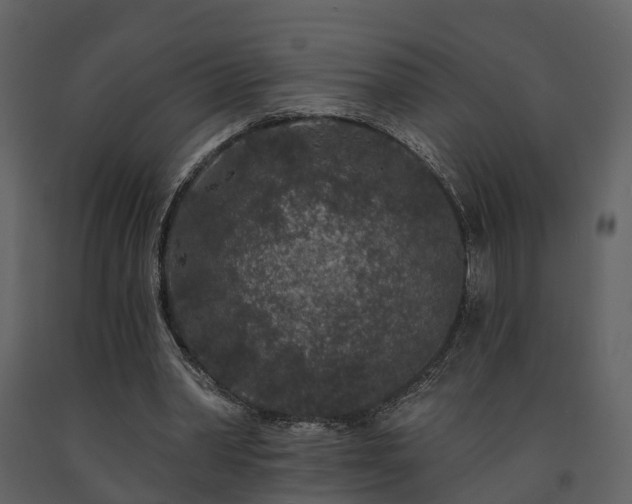 X0000091730390200708241418