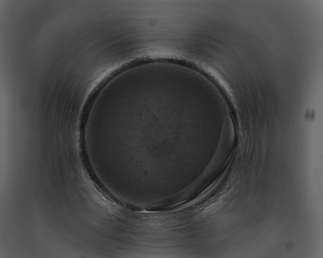 X0000091730391200708241418
