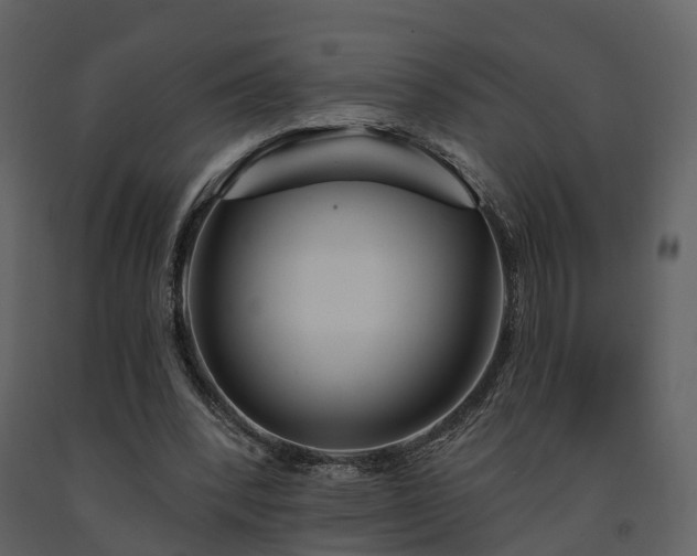 X0000091730392200708241418
