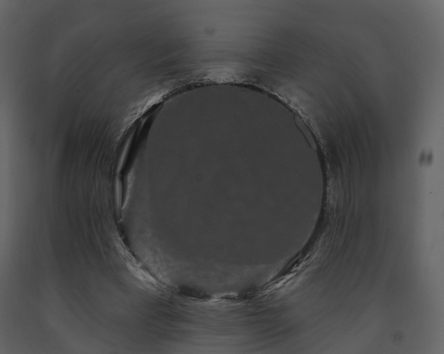 X0000091730393200708241418