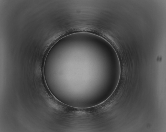 X0000091730394200708241418