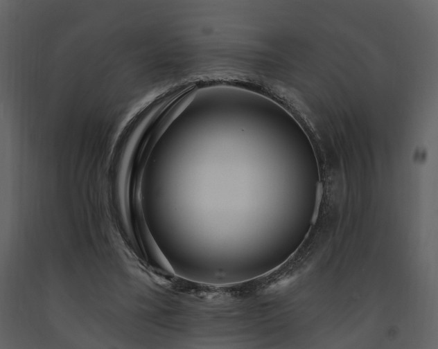 X0000091730395200708241418