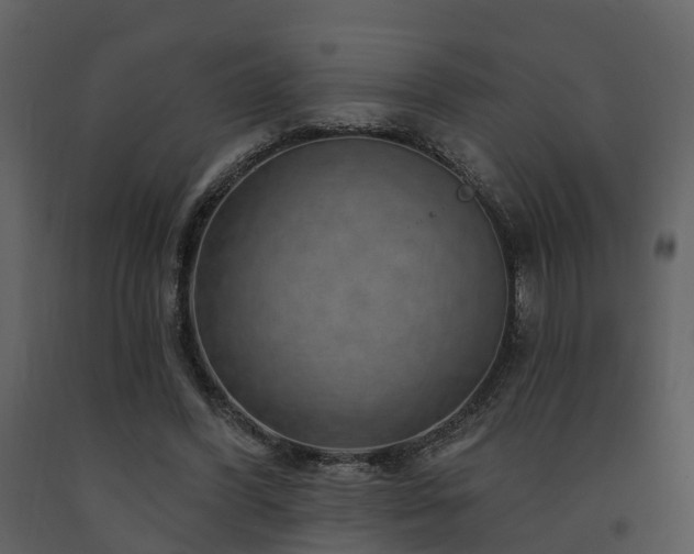 X0000091730396200708241418