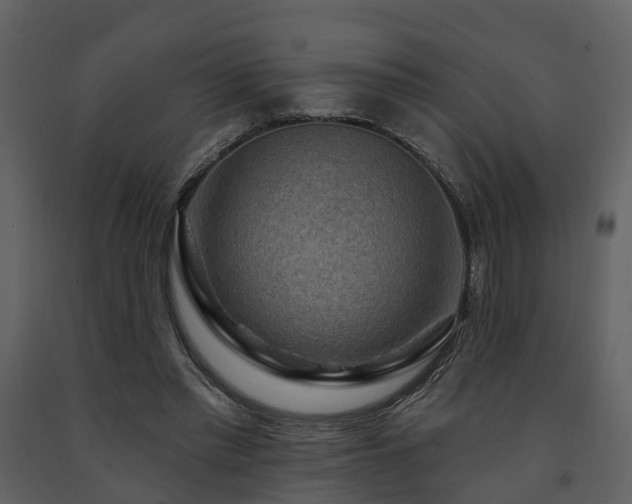 X0000091730397200708241418