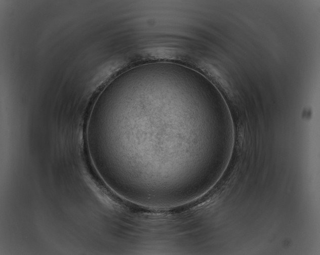 X0000091730398200708241418