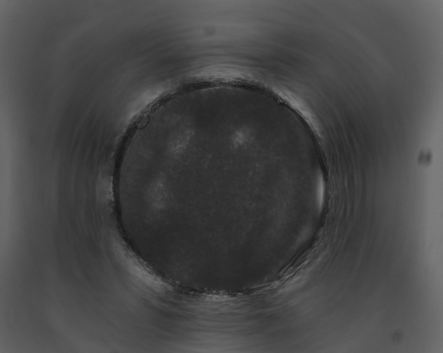 X0000091730399200708241418