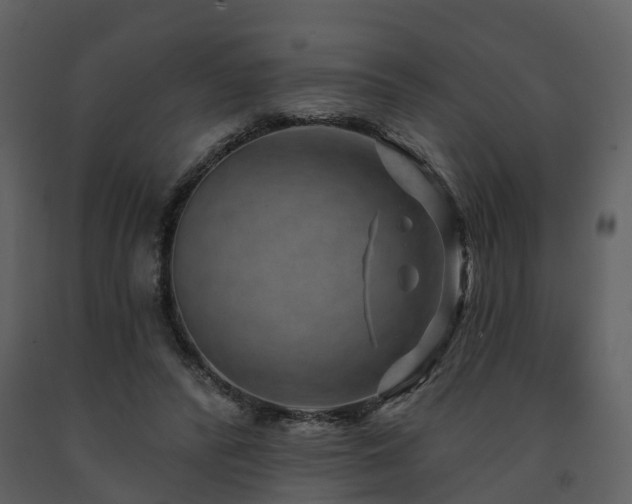 X0000091730400200708241418