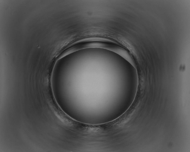 X0000091730401200708241418