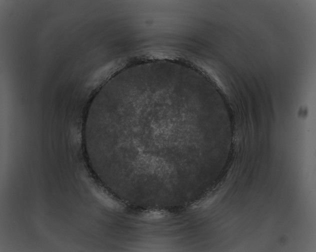 X0000091730402200708241418