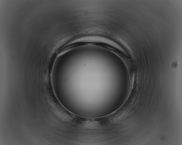X0000091730403200708241418