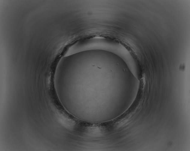 X0000091730404200708241418