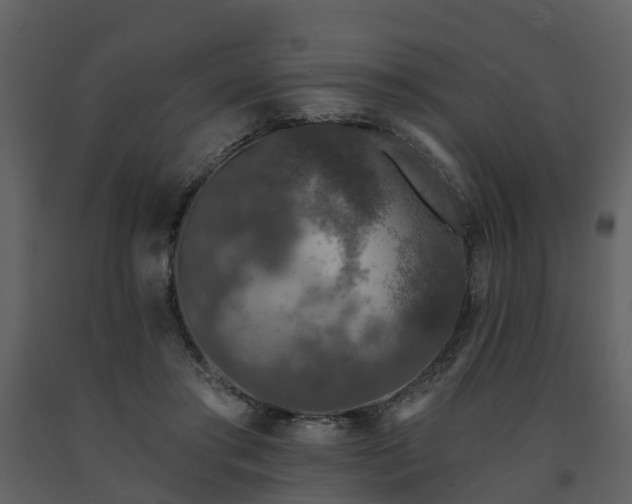 X0000091730405200708241418