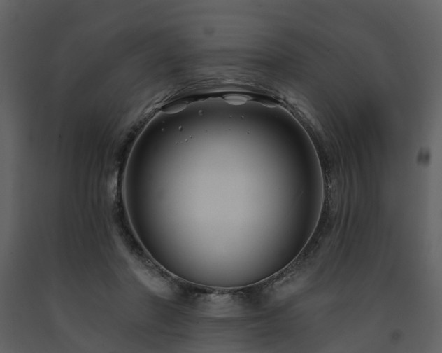 X0000091730406200708241418