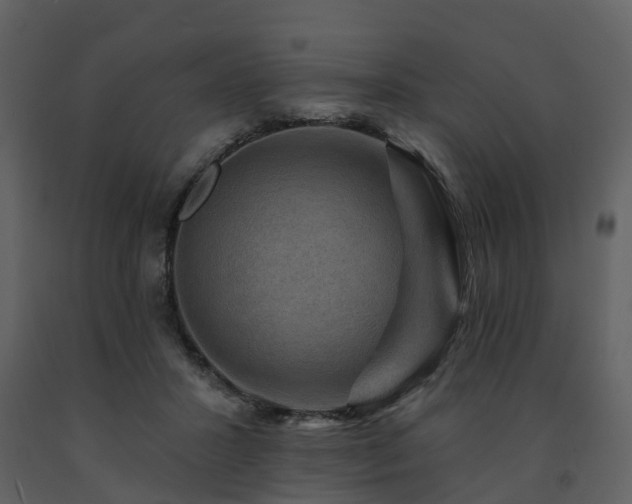 X0000091730407200708241418