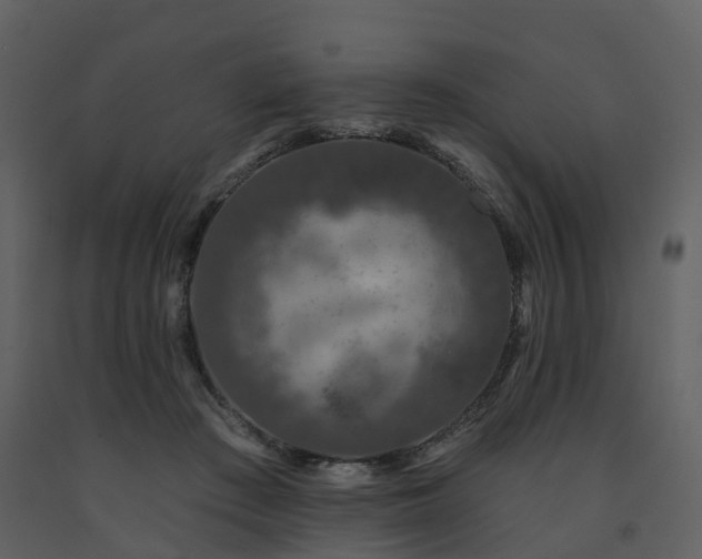 X0000091730409200708241417