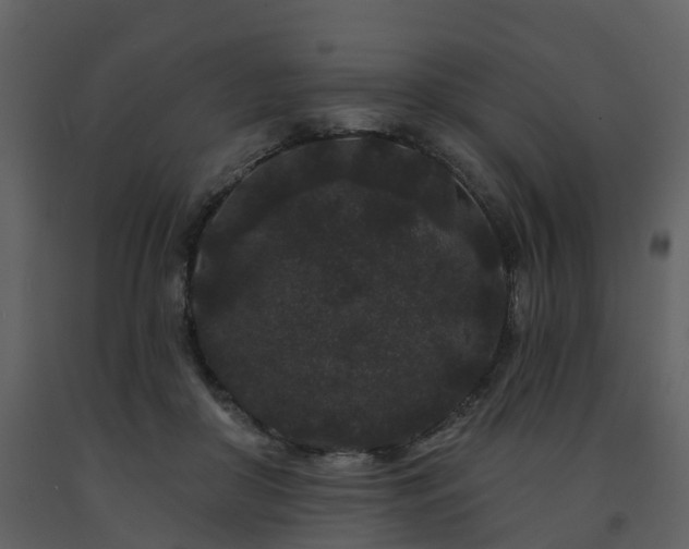 X0000091730410200708241417