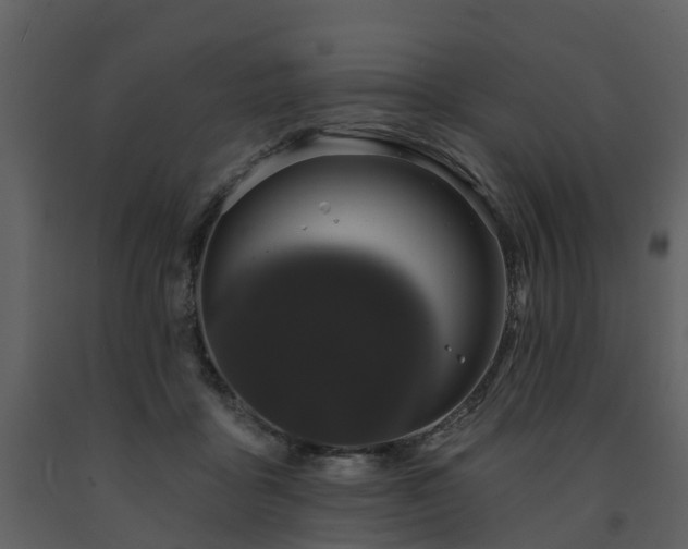 X0000091730411200708241417
