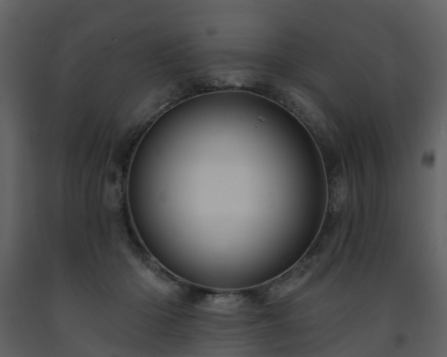 X0000091730414200708241417