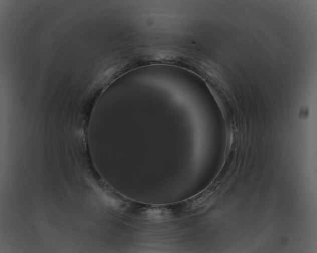X0000091730415200708241417