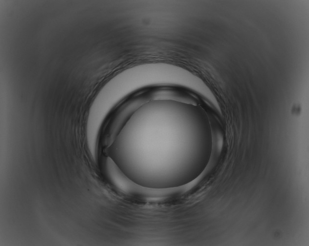 X0000091730416200708241417