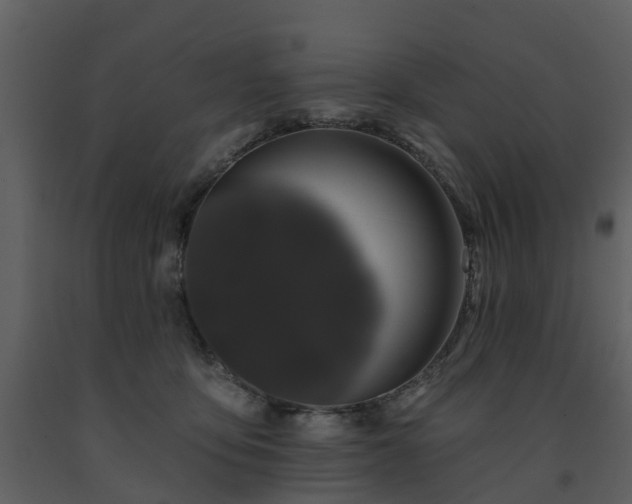 X0000091730419200708241417
