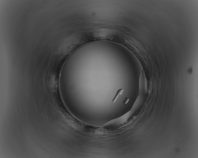 X0000091730420200708241417