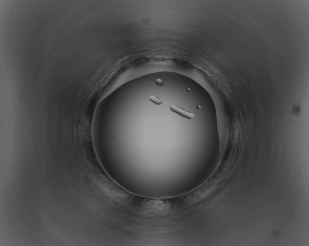 X0000091730421200708241417