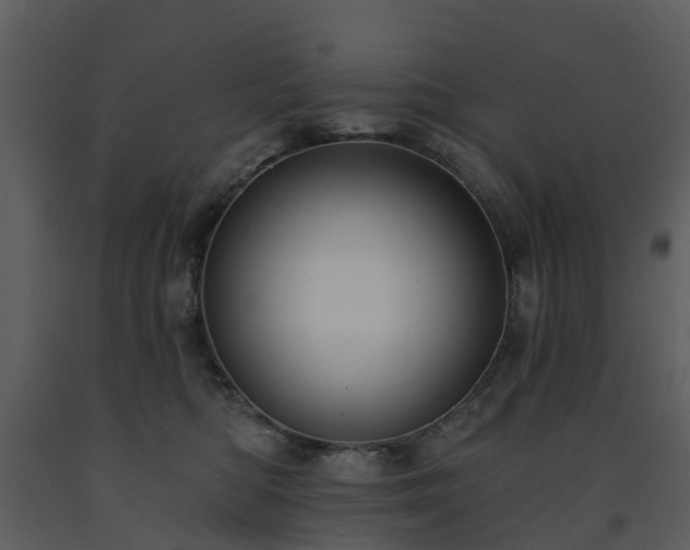 X0000091730422200708241417