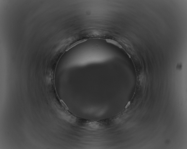 X0000091730423200708241417