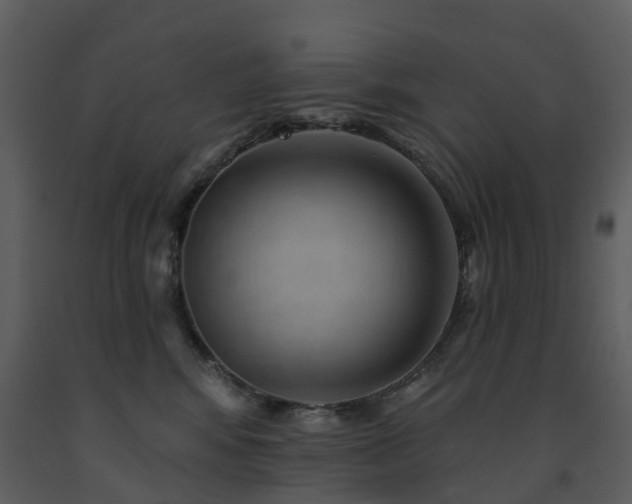 X0000091730424200708241417