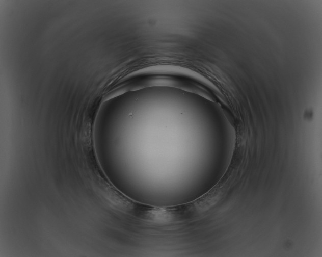 X0000091730425200708241417