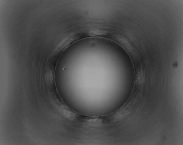 X0000091730426200708241417