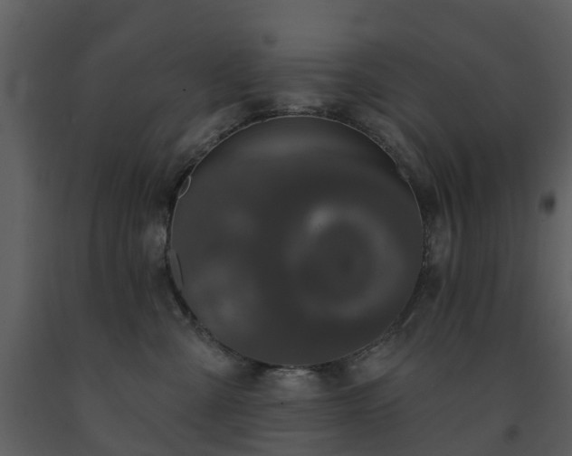 X0000091730427200708241417