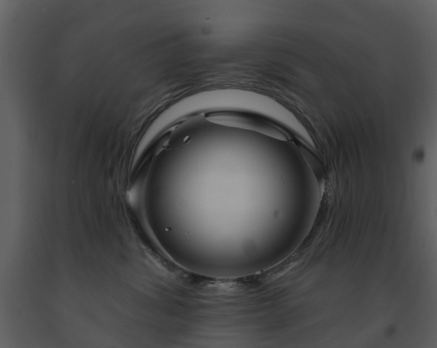 X0000091730428200708241417