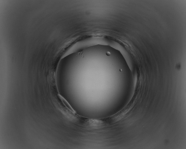 X0000091730429200708241417
