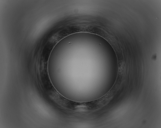X0000091730430200708241417