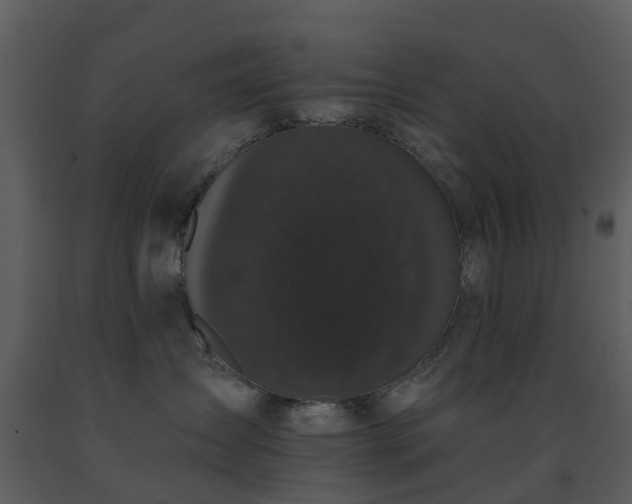 X0000091730431200708241417