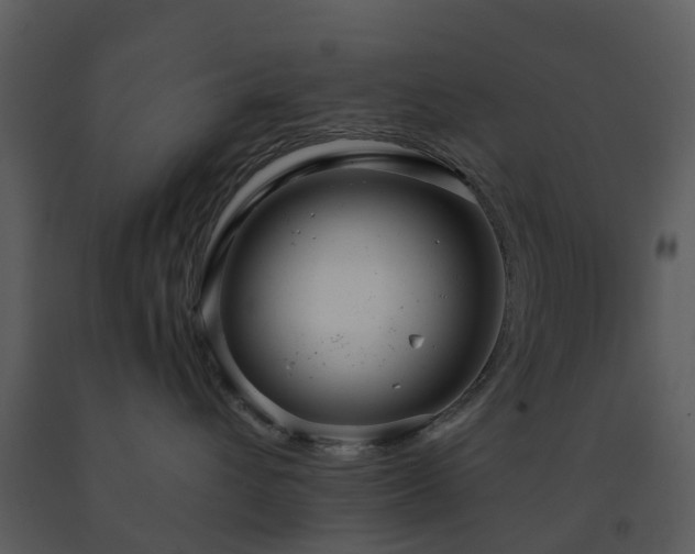 X0000091730432200708241417