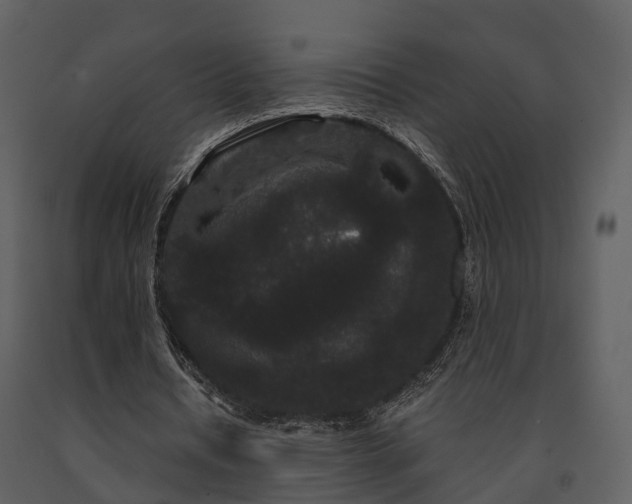 X0000091730434200708241416
